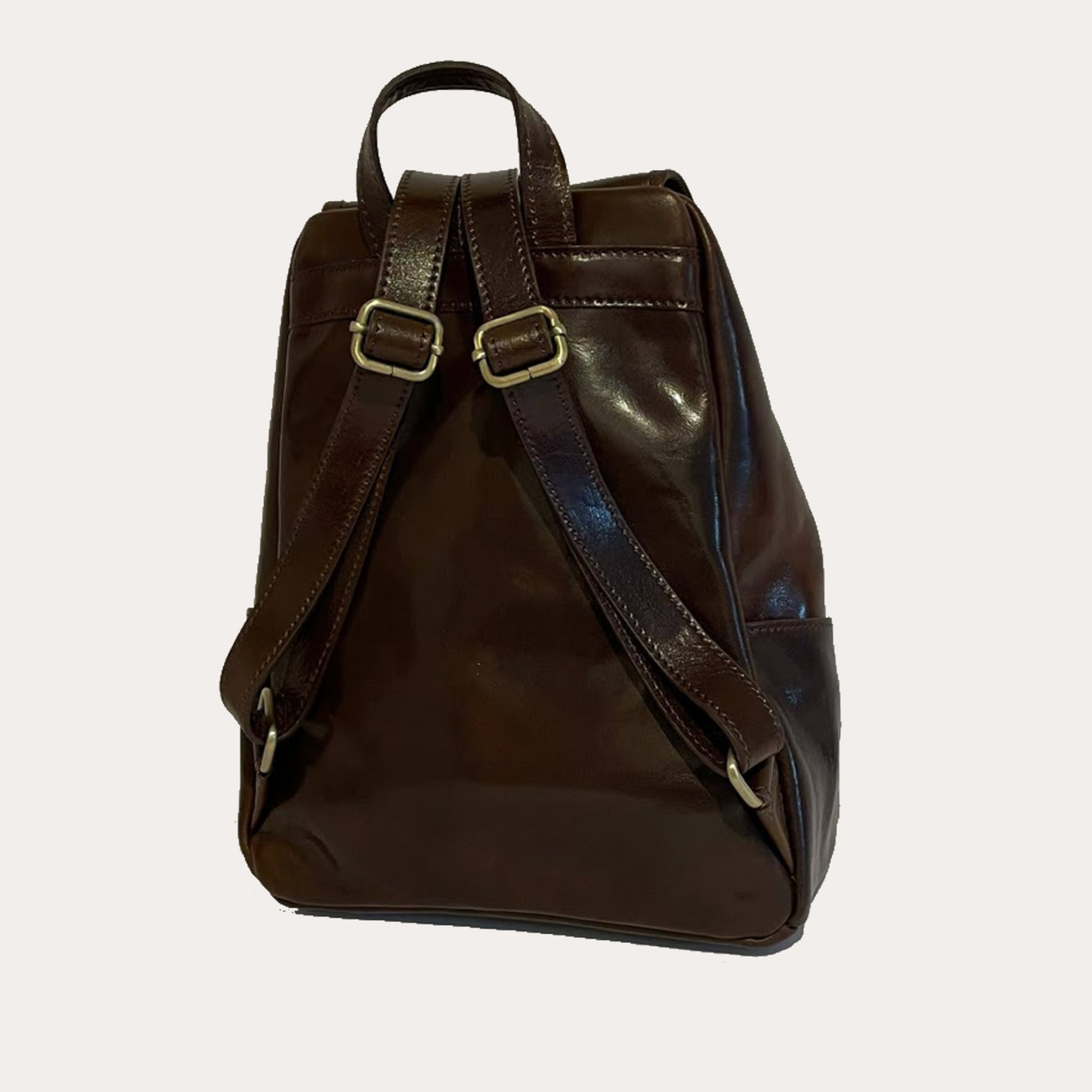 Dark Brown Leather Backpack